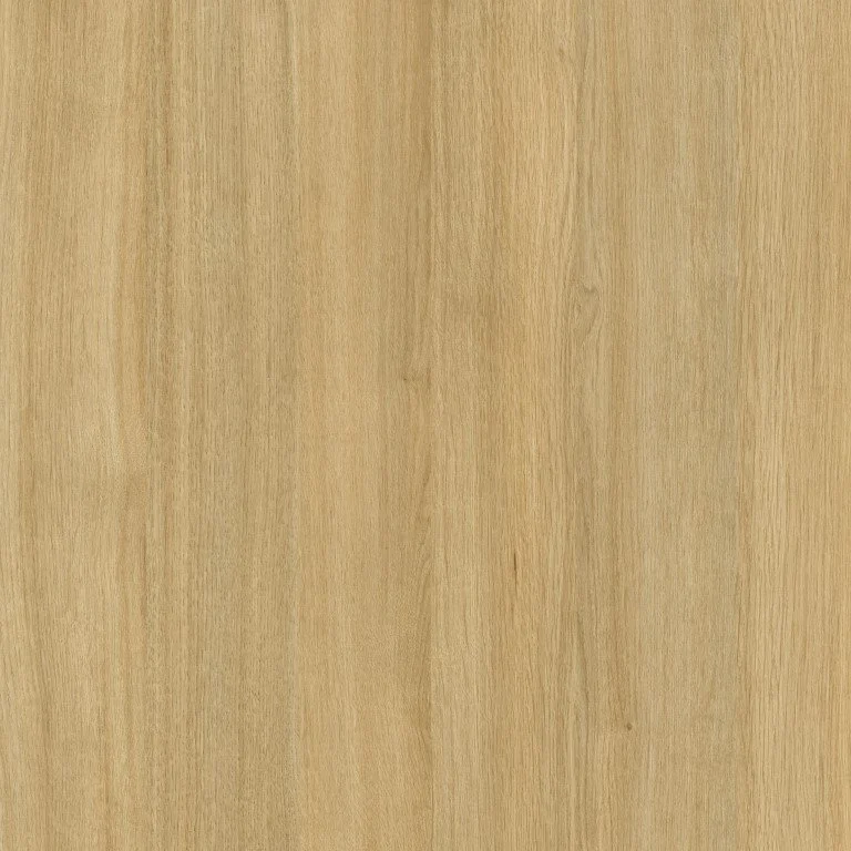 Tafisa K585 Rhapsody 12